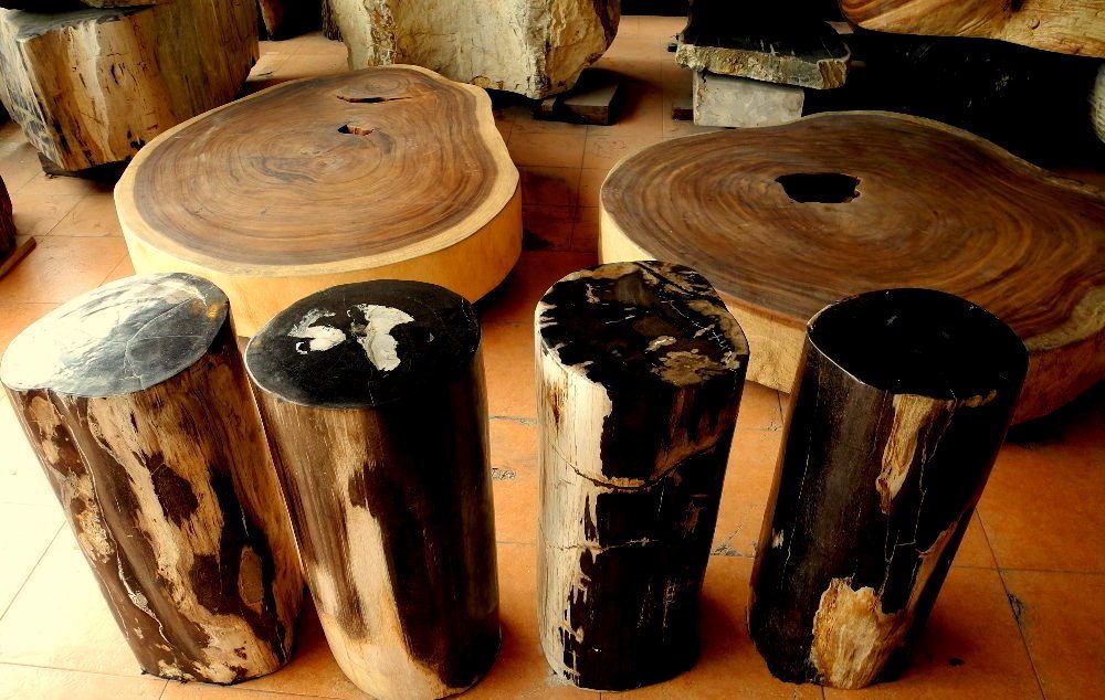 How To Clean Petrified Wood Or Polish It How To Do It