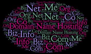 Different Category of Domain Names
